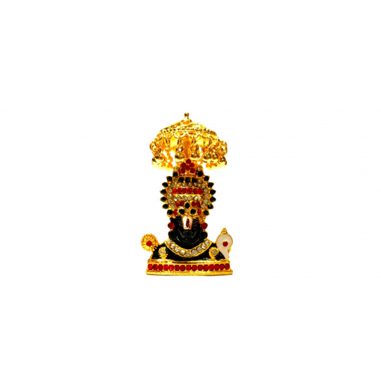 ST/2282/COL CHAYA  MUKUT BALAJI 