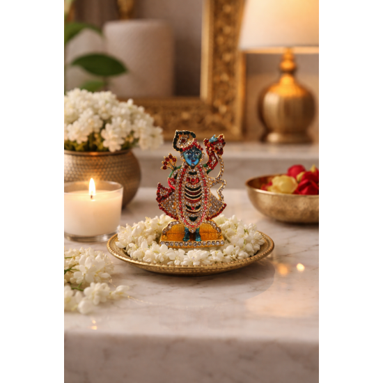 ST/707/M PR SHRINATHJI 