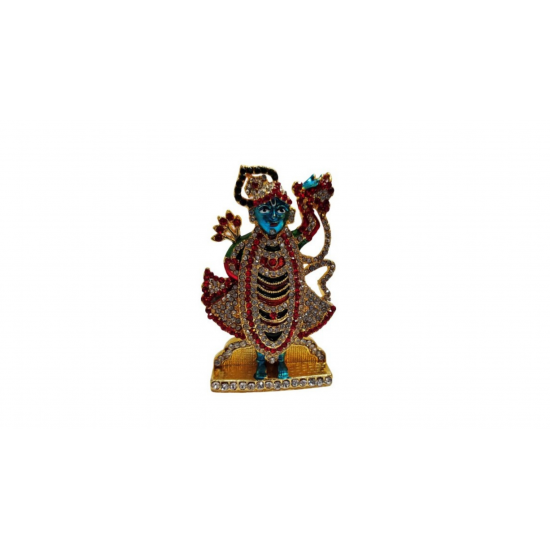ST/707/M PR SHRINATHJI 