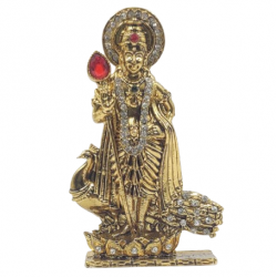 ST/1172/ANT PRINCE MURUGAN