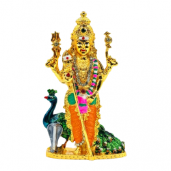 ST/2818/G PEACOCK MURUGAN