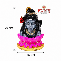 ST/1711/M PR KAMAL SHANKAR 