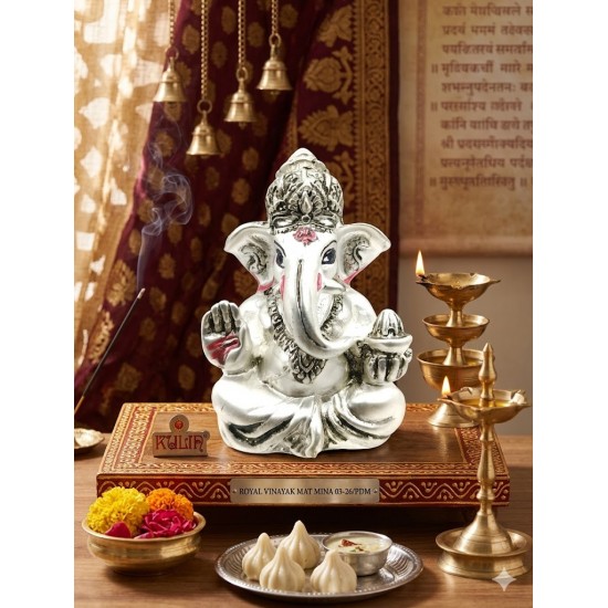 ROYAL VINAYAK MAT MINA
